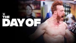 Watch WWE The Day of Fastlane 2021